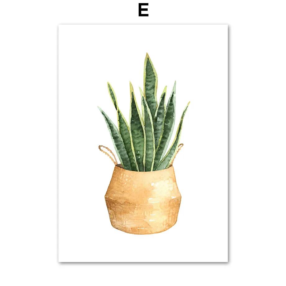 Cactus Tiger Pilan Monstera Green Plants Wall Art Canvas Painting Nordic Posters And Prints Wall Pictures For Living Room Decor