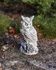 Garden sculpture of concrete owl figurine