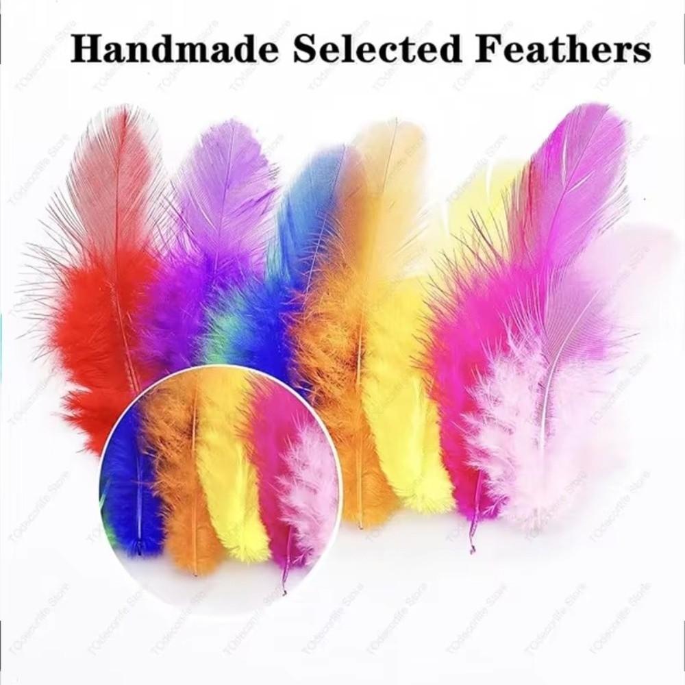 50PCS Natural Feather Colored Feather Decorations Lightweight Colored Feathers DIY Home Crafts