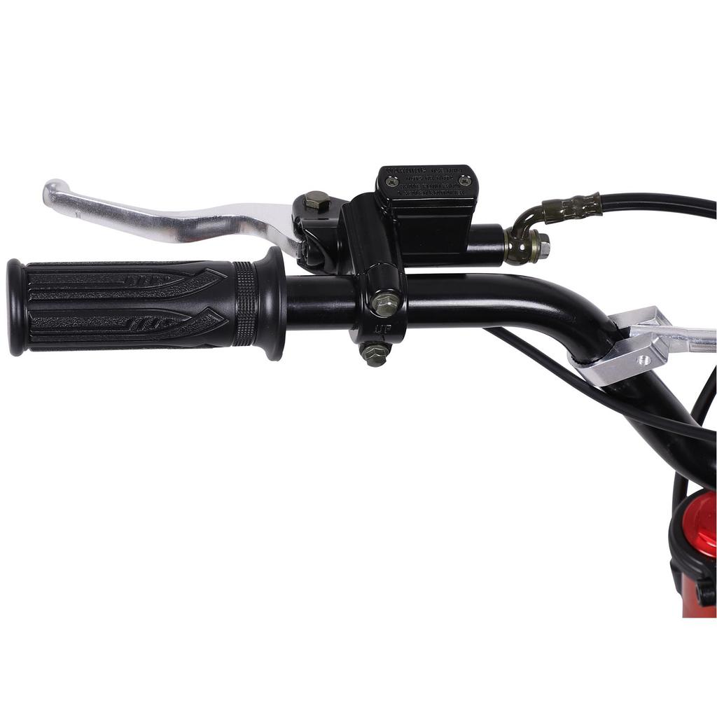 FREEBOY Y01 Elektrisches Motorrad für Erwachsene 48V 20,8Ah Akku 1500W Motor 12 Zoll Geländereifen All-Terrain Elektrisches Moped für Fahrten im Freien im Gelände