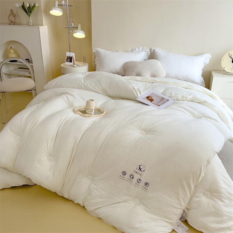 DZQ Thickened Warm 2-in-1 Winter Duvet