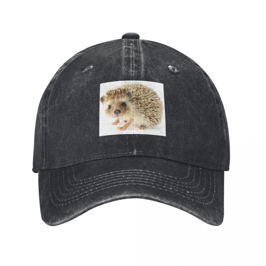 Cute Baby Hedgehog Baseball Cap Rave Hat Luxury Brand Beach Hat Unisex Luxury Unisexs Hats Womens