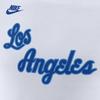 Nike T Shirts Men's White Crew Neck Moderate Straight Fit CT9926-100