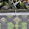 2M/3M Children Safety Protective Net Durable Anti Fall Isolation Fence  for Animal Enclosures