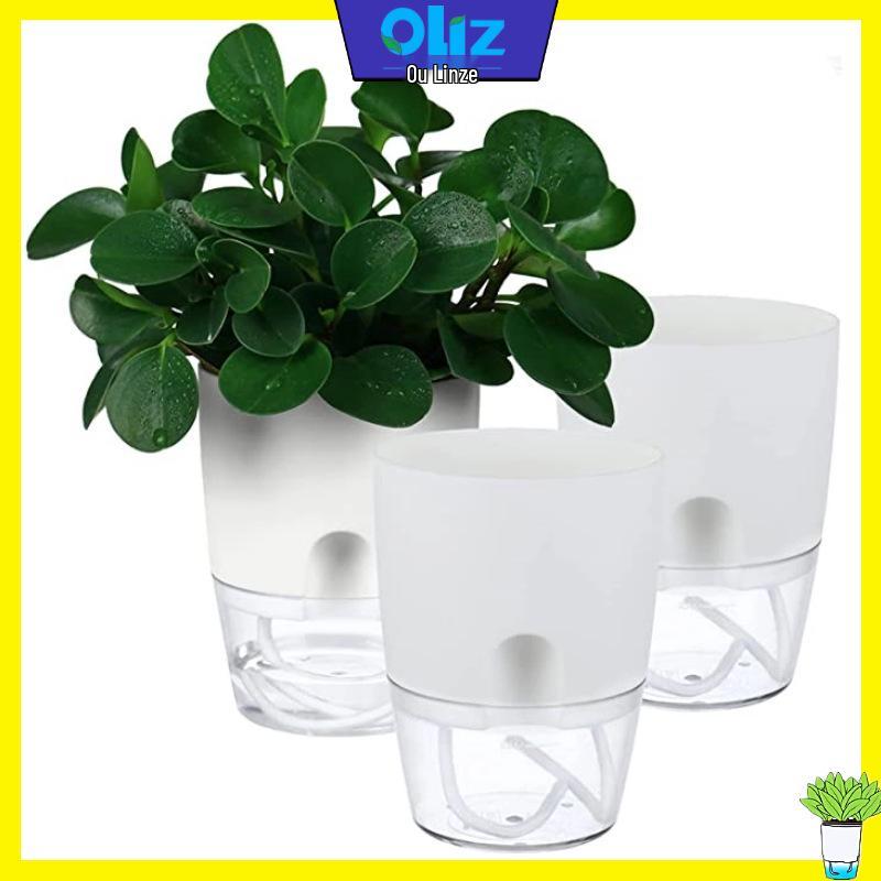 A7 Indoor Transparent Self-Watering Double-Layer Flower Pot.