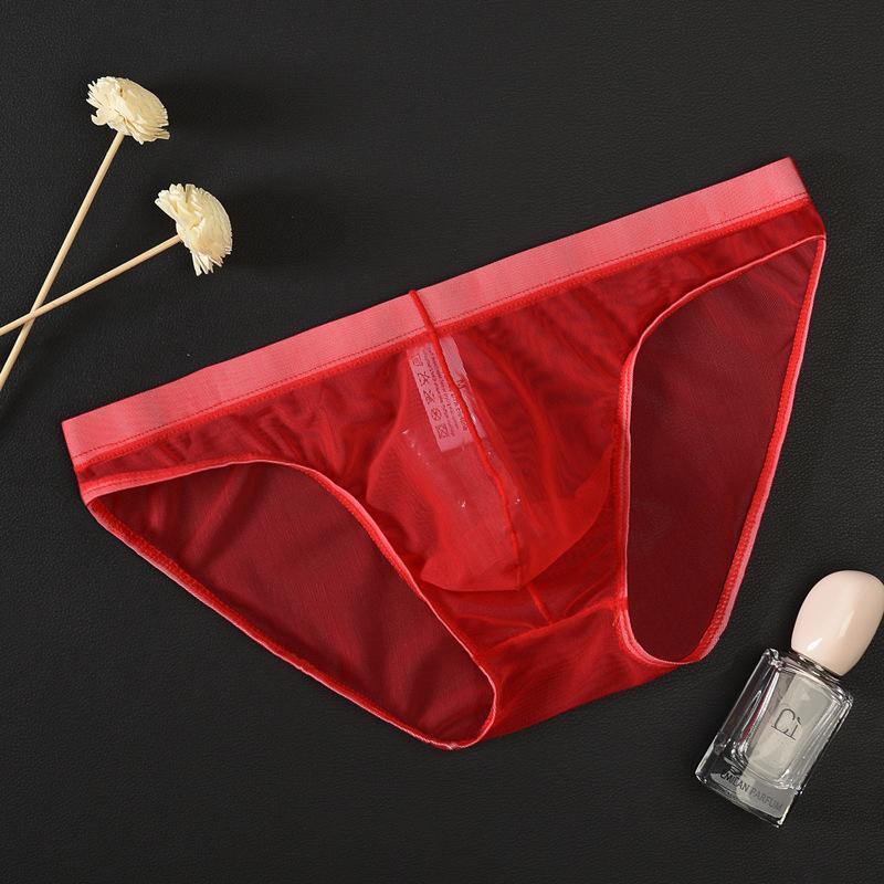 Men Soft Underwear Mesh Transparent Panties Low Rise Briefs See Through Breathable Sexy