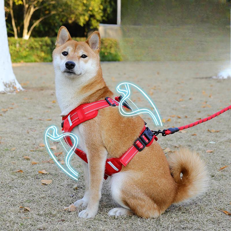 Hundeleine, Shiba Inu Koji Fell Haustier Brust- und Rückenriemen, Ausbruchsichere Hundeleine, Kette für mittelgroße und große Hunde