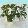 Realistic Leaf Monstera 7 Heads Greenery For Wedding Party Gifts Decor
