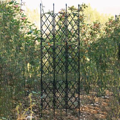 Înverzire şi amenajare – Susținere plante