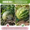 10PCS Melon Cradle Pumpkin Watermelon Stand Plastic Garden Plant Support for Squash Cantaloupe Strawberry Fruit Holder