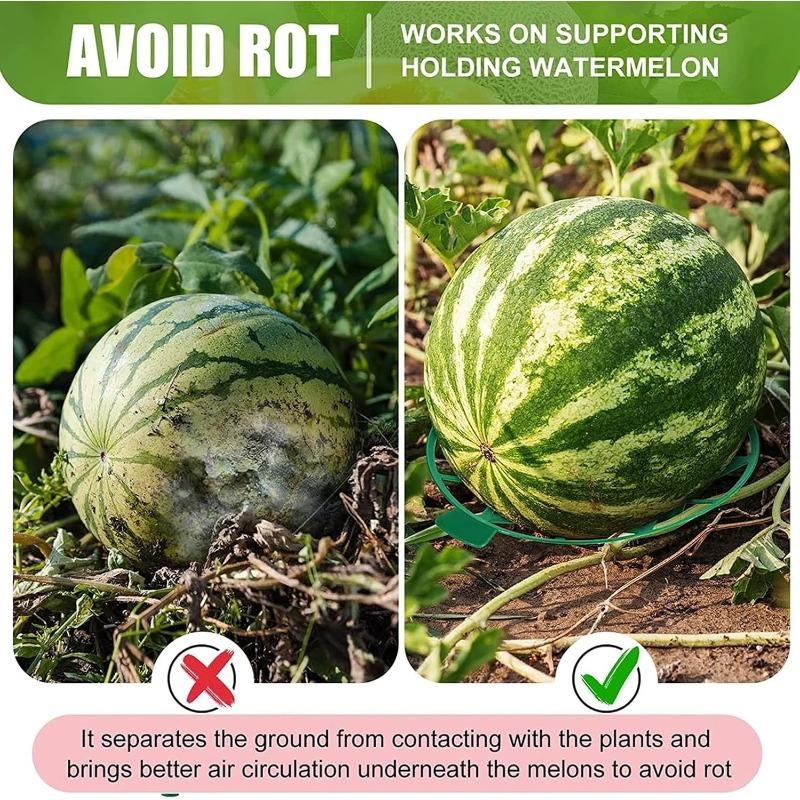 10PCS Melon Cradle Pumpkin Watermelon Stand Plastic Garden Plant Support for Squash Cantaloupe Strawberry Fruit Holder