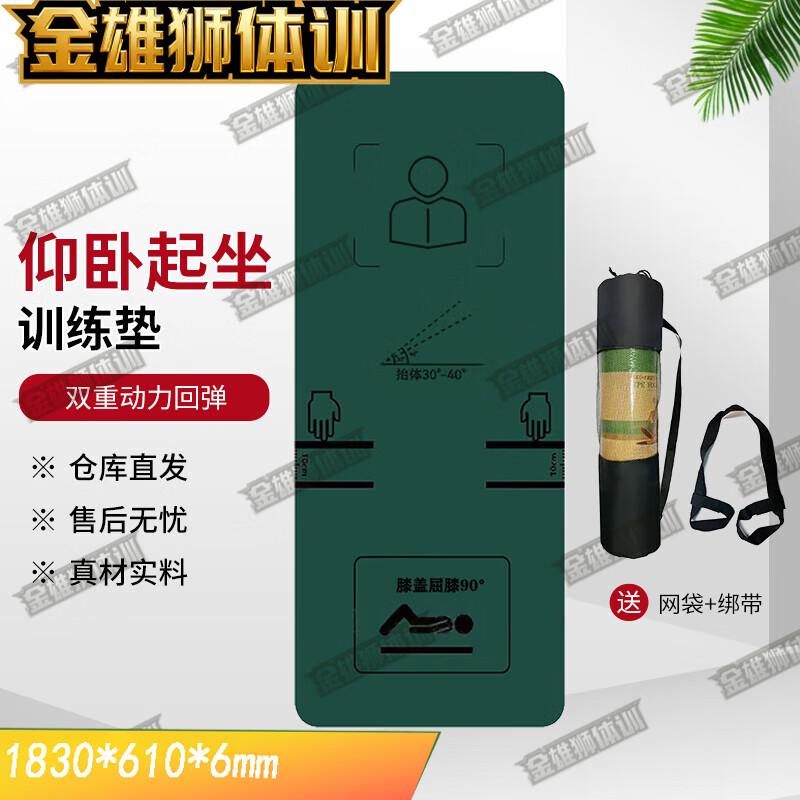 Golden Lion Fitness Training Mat