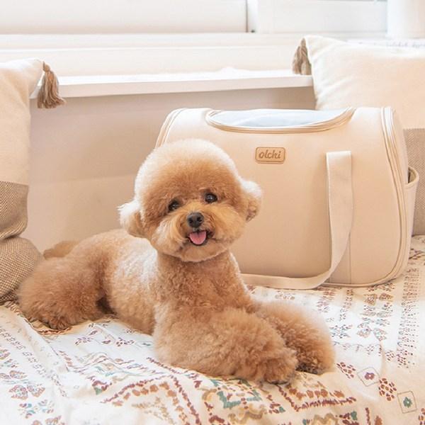 Olchi Pet Hand Shoulder With Me Cross Slingback AB6296, Korean Pet Shampoo