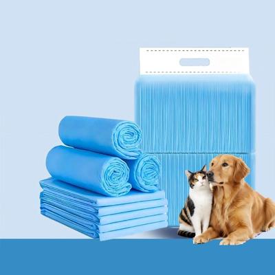 Hunde – Hundepflege-Artikel