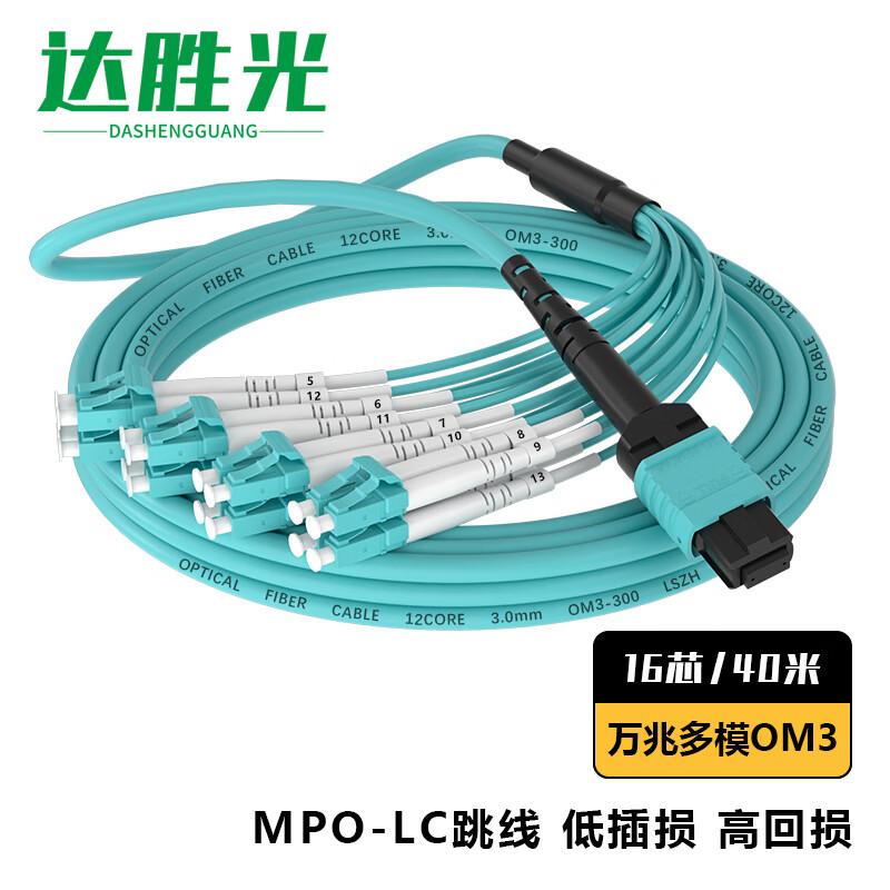 

Dasheng Guang MPO-LC 16-Core OM3 Multimode Fiber Optic Patch Cable