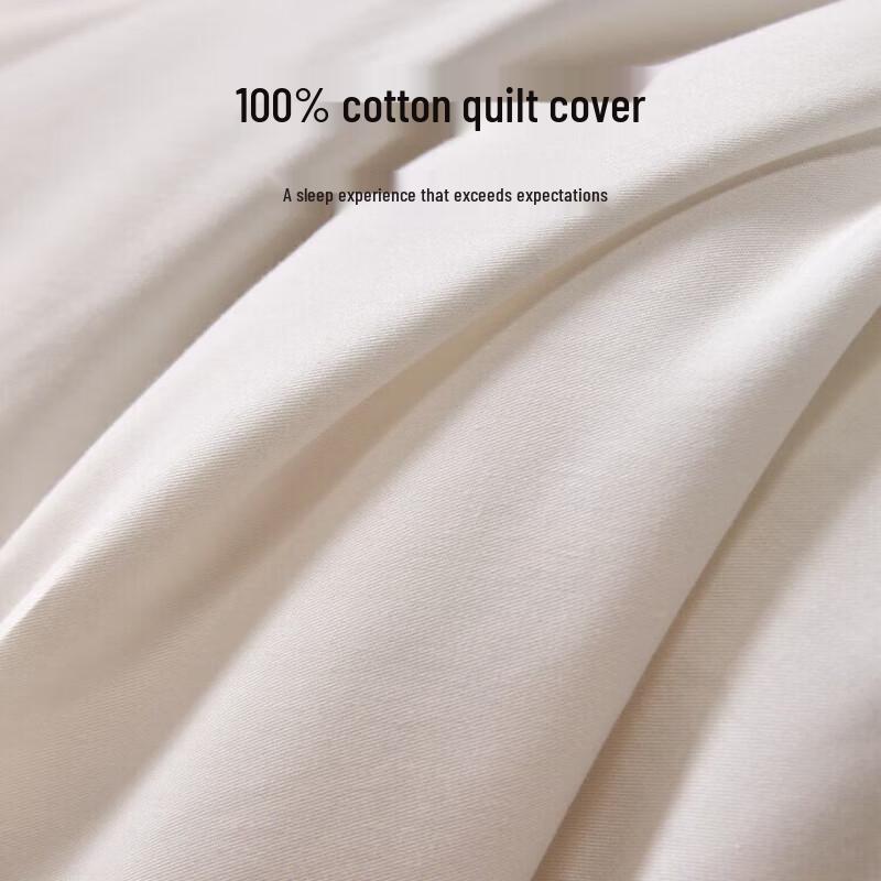 SILKUEEN All-Season Mulberry Silk Quilt