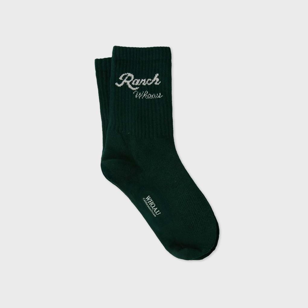 Campus Lettering Socks / WHAYF4931A