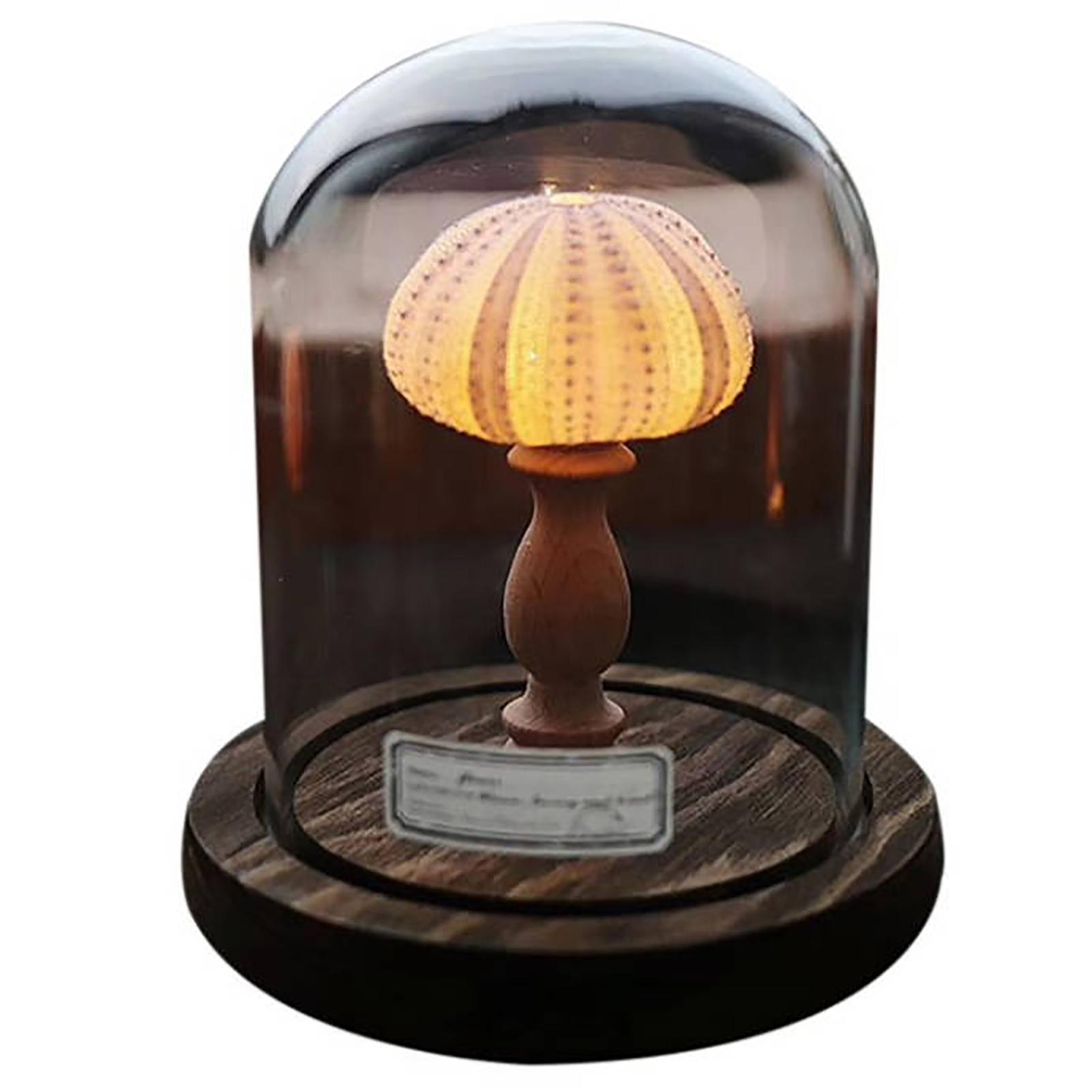 

Сделай сам Ночник Светодиодная лампа Мягкое освещение Без мерцания Прикроватная лампа Оригинальный домашний декор Отличная идея для подарка Стиль