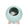 Night Lamp with a Kitten - Light Green
