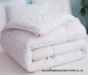Brushed Comforter: Thickened Silk Cotton Quilt for All Seasons