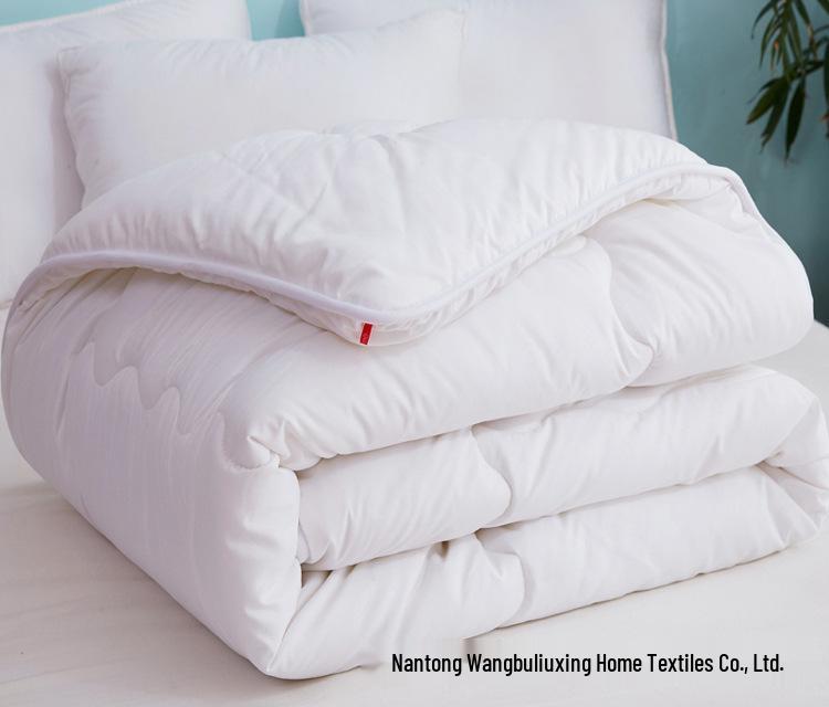 Brushed Comforter: Thickened Silk Cotton Quilt for All Seasons
