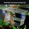 Acrylic Fish Breeding Box: Guppy & Betta Tank Isolation Incubator