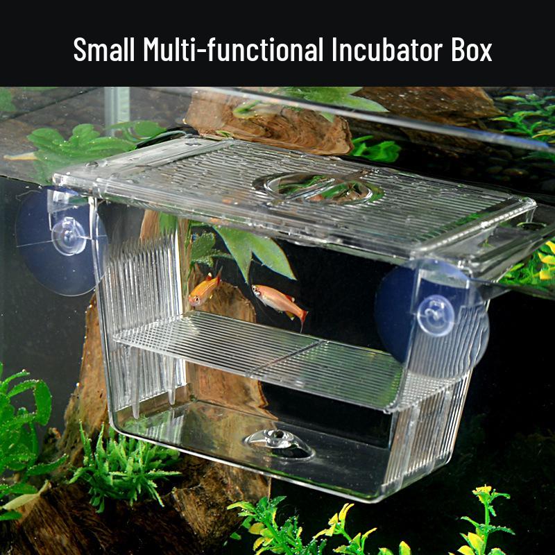 Acrylic Fish Breeding Box: Guppy & Betta Tank Isolation Incubator
