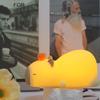 Capybara Silicone Night Light: Color-Changing Bedside Lamp & Sleep Companion