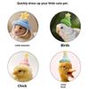 Cute Handmade Knitted Hat Pet Hat Tiny Hamster Parrot Chipmunk Guinea Pig Hat Small Animal Adjustable Hat Decoration Accessories
