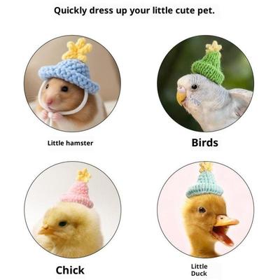 Niedliche handgestrickte Mütze Haustiermütze Winziger Hamster Papagei Streifenhörnchen Meerschweinchen Mütze Kleintier Verstellbare Mütze Dekorationszubehör