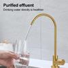 Küchen-Filterhahn Edelstahl Direkt-Reiniger Direkt-Trinkhahn Einzelner Kaltwasser-Spülbeckenhahn Goldener Wasserhahn