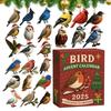 Christmas Calendar Countdown 2D Flat Acrylic Ornament 24 Days Bird Ornament Countdown Calendar for Men Women Girls Youth Teens