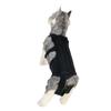 Dog Back Support for dogs with IVDD,Back Bracer Black S/M/L