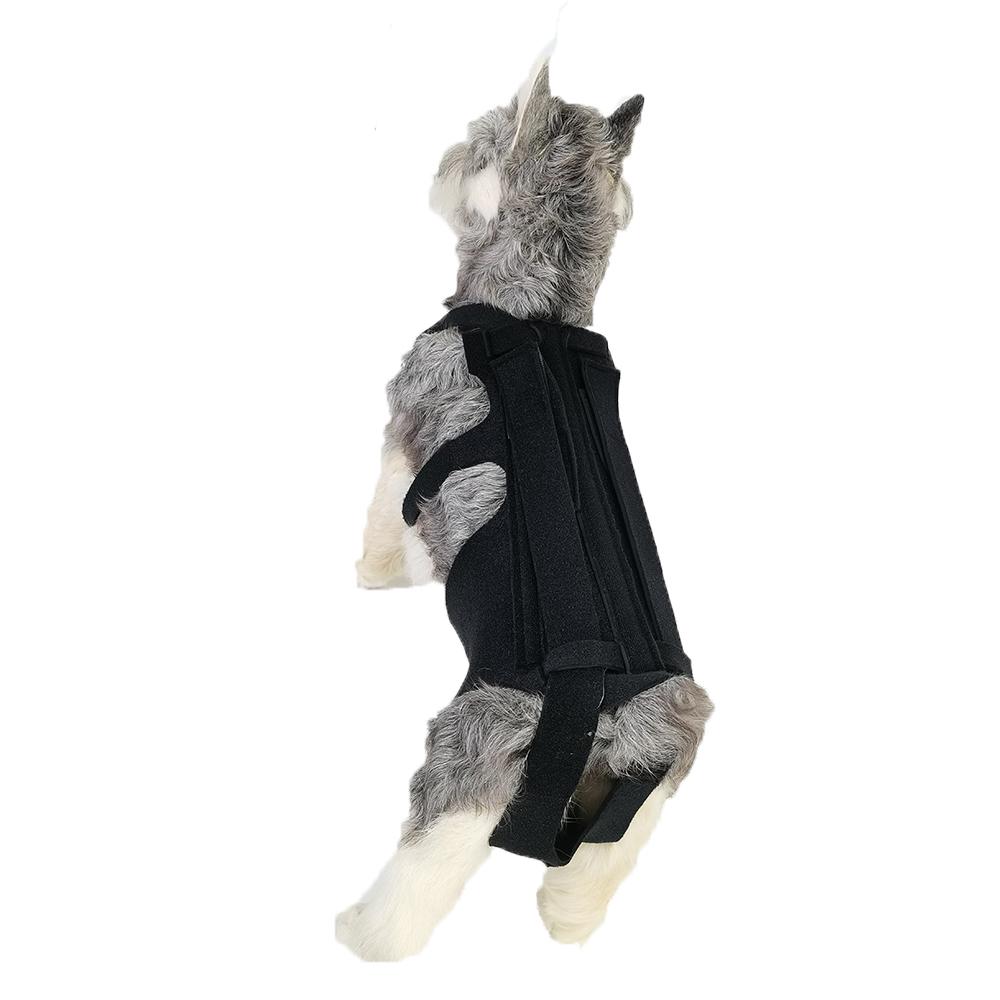 Dog Back Support for dogs with IVDD,Back Bracer Black S/M/L