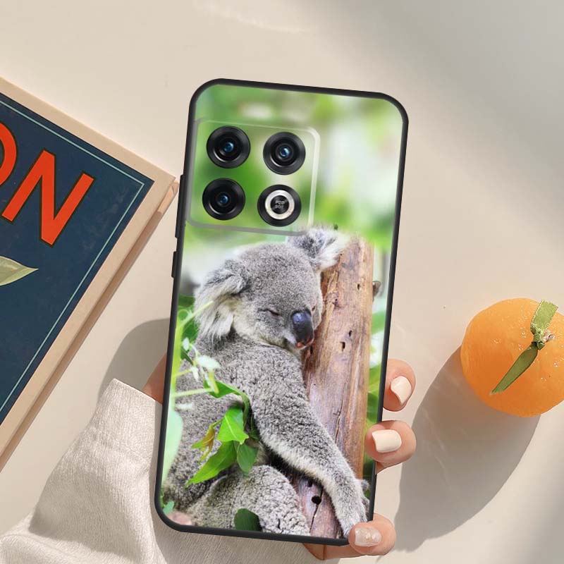 Australisches Koala-Case Für OnePlus 12R 13R 13T 10R 15 13 12 11 10T 8T Nord CE 4 3 2 Lite N20 N30 Nord 5 Hülle