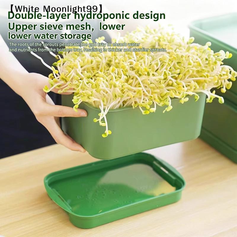 Seed Sprout Tray Garden Hydroponic Peanut Sprouting Box Mini Greenhouse Germination Kits Germination Soilless Planting Pot