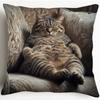 1/4Pcs Sofa Tabby Cat Skin-Friendly Pillowcases Romantic, Colorful Fascinating-Themed Pillow Cover Square Cushion Case 45X45Cm