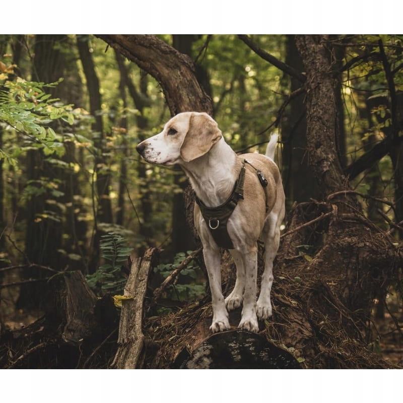 Khaki szelki dla psa adventure dog truelove xxs
