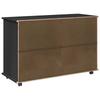Mobile Cabinet in Black 100 x 39 x 65.5 cm Solid Pine Wood