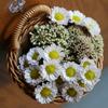 Hängender gewebter Aufbewahrungskorb aus Rattan, Wandmontage, Strohkorb, Graskorb, Blumentopf, Pflanzenvase, Gartendekoration, Aufbewahrungsregal