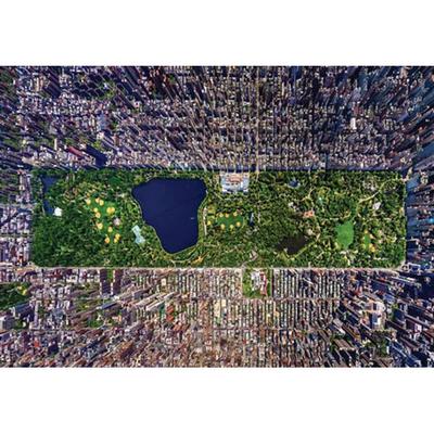 [BN] 1000 Piece Jigsaw Puzzle: Scenic New York Central Park Landscape by Bien
