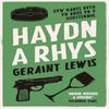 Haydn a Rhys by Geraint Lewis Paperback Book 9781845279127