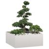 Pot 100X100X40 Cm Stainless Steel