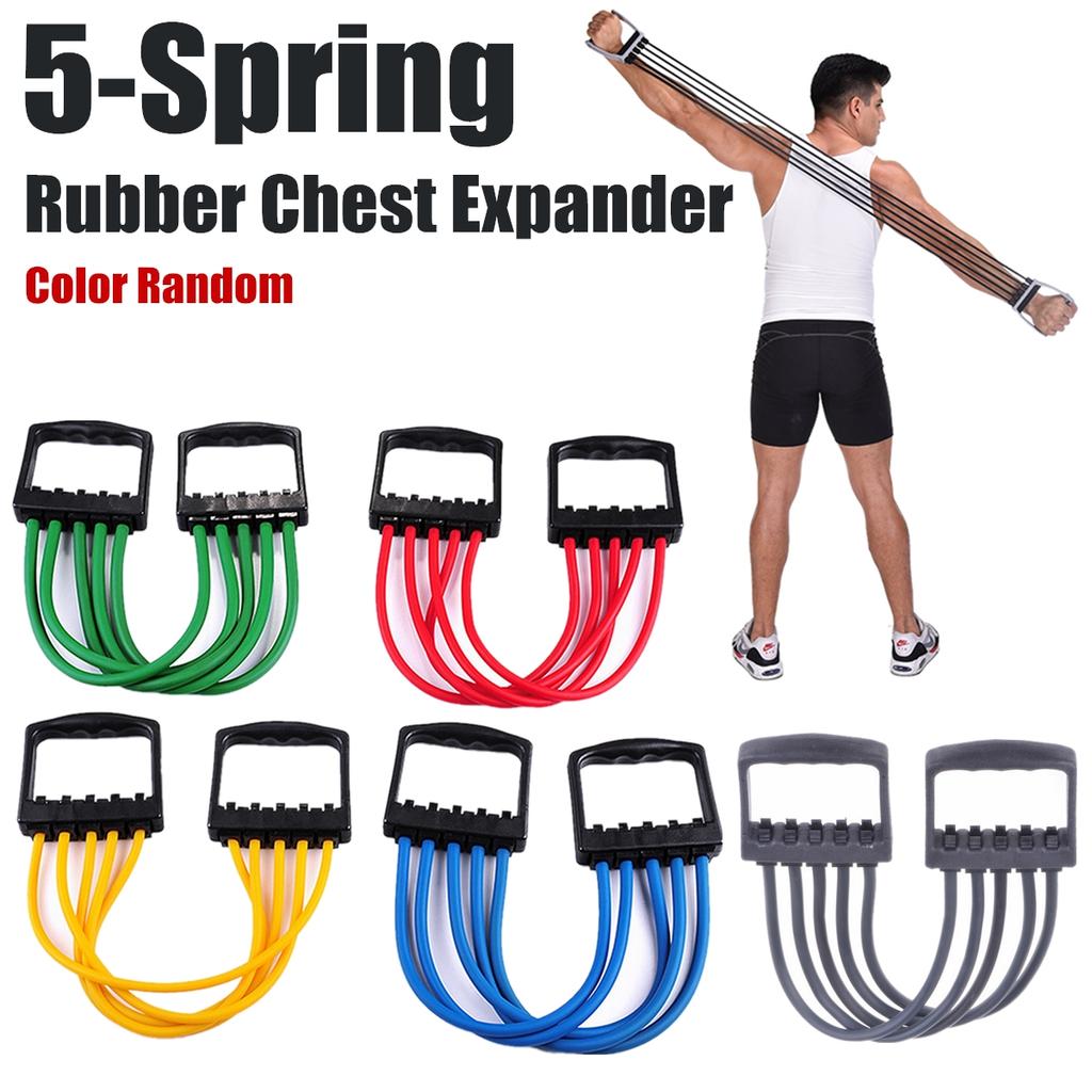 chest expander price