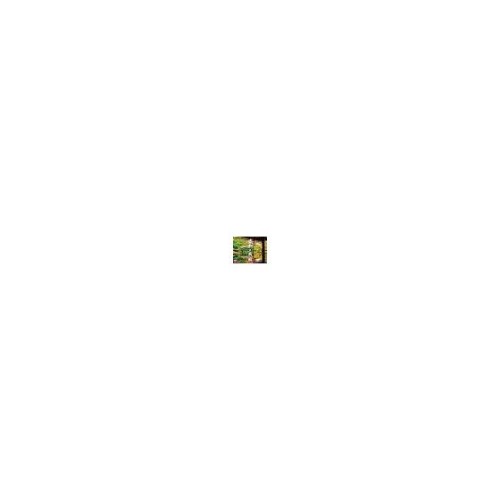 Japanese Garden Calendar 2026 (Monthly/Wall Hanging) (Neko Publishing) (Calendar 2026) (Calendar Series)