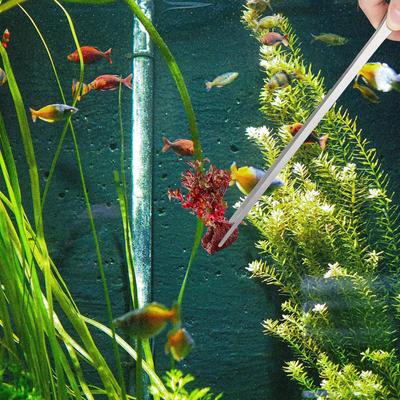 2 pinzas para acuario, pinzas para alimentación de reptiles, de acero inoxidable, para paisajismo acuático de serpientes