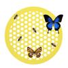 Floating Bee Island Bee Waterer rounded Bee Insect Drinking Tray Beekeeping Setups Luring Insects Waterer Bee Bath Catcher Tray