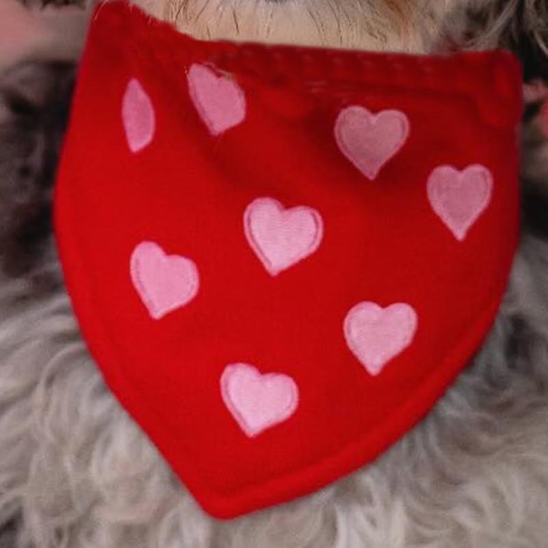 RENEXTOP HW-036 Pet Bib