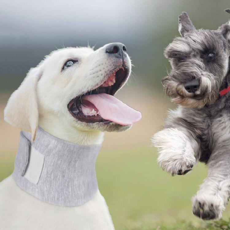Collare Regolabile per Gatti Dopo Interventi Chirurgici Collare per Cani Recupero da Interventi Chirurgici Gatti Collare Protettivo per Collo Ferite Antileccata
