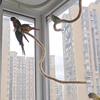 Con Ventosas Percha para Loro Bricolaje Flexible Escalada de Pájaros Cuerda de Lino Soporte de Percha para Pájaros Hogar